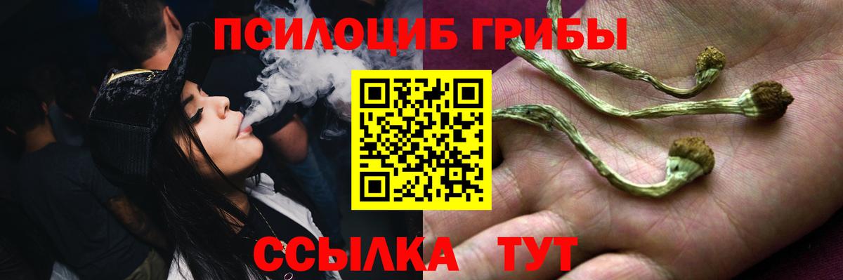 Псилоцибиновые грибы мухоморы  Вход с VPN  Магнитогорск 